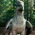 Buckbeak on Random Greatest Fictional Pets You Wish You Could Actually Own