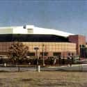 Bud Walton Arena on Random Best College Basketball Arenas