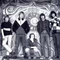 Buffalo Springfield on Random Best Bands With Animal Names