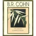 B. R. Cohn Winery on Random Best Wineries in Sonoma Valley