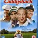 Bill Murray, Chevy Chase, Rodney Dangerfield   Caddyshack is a 1980 American sports comedy film directed by Harold Ramis and written by Brian Doyle-Murray, Ramis and Douglas Kenney.