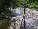 Willowemoc Creek on Random Best U.S. Rivers for Fly Fishing
