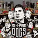 Sleeping Dogs on Random Most Popular Open World Video Games Right Now