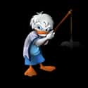 Dewey Duck on Random Best Bird Characters In Cartoons And Comics