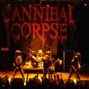 Butchered at Birth, Kill, Gallery of Suicide   Cannibal Corpse is an American death metal band from Buffalo, New York. Formed in 1988, the band has released thirteen studio albums, two box sets, four video albums and one live album.