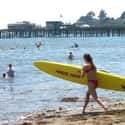 Capitola on Random Best U.S. Beaches for Surfing
