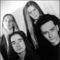 Heartwork, Symphonies of Sickness, Swansong   Carcass are a British extreme metal band from Liverpool, who formed in 1985 and disbanded in 1995.