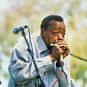 Carey Bell is listed (or ranked) 19 on the list Greatest Harmonica Players of All Time