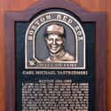 Carl Yastrzemski is listed (or ranked) 13 on the list The Best MLB Players To Have Their Numbers Retired