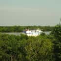 Sundarbans on Random Top Must-See Attractions in India
