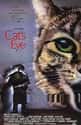 Cat's Eye on Random Best Movies Based on Stephen King Books