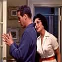 Elizabeth Taylor, Paul Newman, Burl Ives   Cat on a Hot Tin Roof is a 1958 American drama film directed by Richard Brooks.