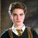 Cedric Diggory on Random Greatest Harry Potter Characters