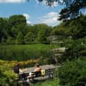 Central Park on Random Top Must-See Attractions in New York