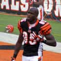 Chad Ochocinco Johnson on Random Celebrities Who Have Been Charged With Domestic Abuse