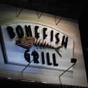 Bonefish Grill on Random Top Seafood Restaurant Chains