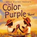 Stephen Bray , Marsha Norman , Allee Willis   The Color Purple is a Broadway musical based upon the novel The Color Purple by Alice Walker.
