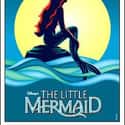 Alan Menken , Howard Ashman , Doug Wright   The Little Mermaid is a stage musical produced by Disney Theatrical, based on the animated 1989 Disney film of the same name and the classic story of The Little Mermaid by Hans Christian...