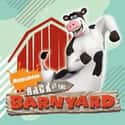 Back at the Barnyard on Random Best Computer Animation TV Shows