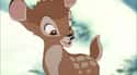 Bambi on Random Best Pop Culture Pet Names
