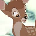 Bambi on Random Best Pop Culture Pet Names