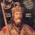 Charlemagne, also known as Charles the Great or Charles I, was King of the Franks who united most of Western Europe during the Middle Ages and laid the foundations for modern France and Germany....