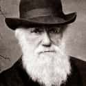 Charles Darwin on Random Most Influential People