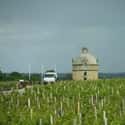Château Latour on Random Best Wineries in France