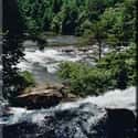 Chattooga River on Random Best American Rivers for Canoeing