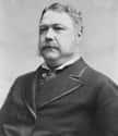 Chester A. Arthur reversed the sentence of Army officer Fitz John Porter. Porter was court-martialed for failing to follow orders during the Second Battle of Bull Run, which marked a devastating loss for the Union.
