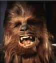 Chewbacca on Random Best Movie Characters