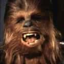 Chewbacca on Random Best Movie Characters