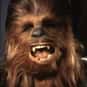 Chewbacca is listed (or ranked) 30 on the list The Best Movie Characters of All Time