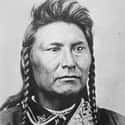 Dec. at 64 (1840-1904)   Hin-mah-too-yah-lat-kekt, Hinmatóowyalahtq̓it in Americanist orthography, popularly known as Chief Joseph, or Young Joseph, succeeded his father Tuekakas as the leader of the...