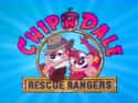 Chip 'n Dale Rescue Rangers on Random Very Best Cartoon TV Shows