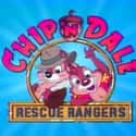 Chip 'n Dale Rescue Rangers on Random Best Kids Cartoons
