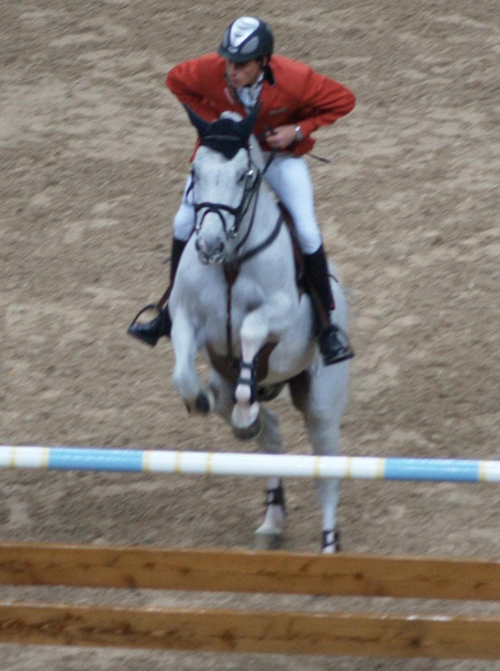 Famous Equestrians from Germany List of Top German Equestrians