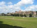 Circus Maximus on Random Top Must-See Attractions in Italy