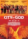 City of God on Random Great Movies About Juvenile Delinquents
