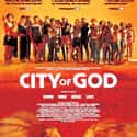City of God on Random Best Cerebral Crime Movies