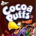 Cocoa Puffs on Random Best Breakfast Cereals