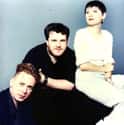 Cocteau Twins on Random Best Bands Named After Songs