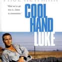 1967   Cool Hand Luke is a 1967 American prison drama film directed by Stuart Rosenberg, starring Paul Newman and featuring George Kennedy in an Oscar-winning performance.