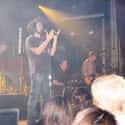 August and Everything After, Recovering the Satellites, Hard Candy   Counting Crows is an American rock band from Berkeley, California, formed in 1991.