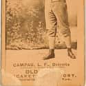Count Campau is listed (or ranked) 7 on the list Longest Hitting Streaks in Baseball