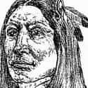 Crazy Horse, literally "His-Horse-Is-Crazy"; c. 1840 – September 5, 1877 was a Native American war leader of the Oglala Lakota. He took up arms against the U.S.
