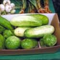 Cucumber on Random Best Foods to Buy Organic