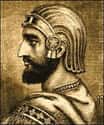 Cyrus the Great on Random Most Enlightened Leaders in World History