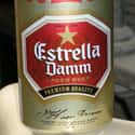 Estrella Damm on Random Top Beers from Spain