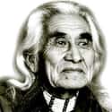 Dec. at 82 (1899-1981)   Chief Dan George, OC was a chief of the Tsleil-Waututh Nation, a Coast Salish band whose Indian reserve is located on Burrard Inlet in the southeast area of the District of North Vancouver,...